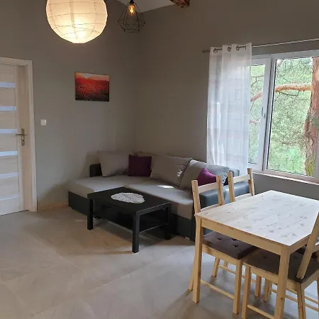 Apartament Pod Sosnami 2 Otw Borówno Wlk