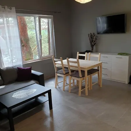 Pod Sosnami 2 Otw Borówno Wlk Apartament Skarszewy