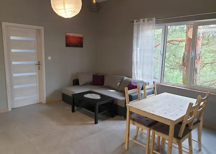 Apartament Pod Sosnami 2 Otw Borówno Wlk